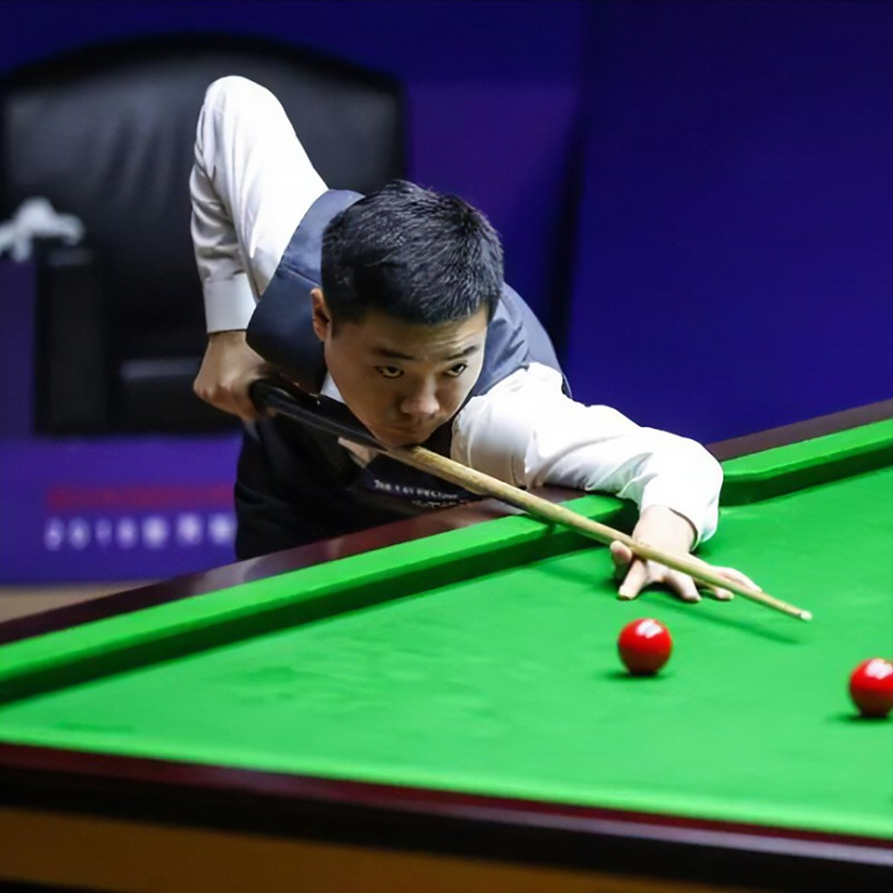 灰熊却并未 灰熊却并未